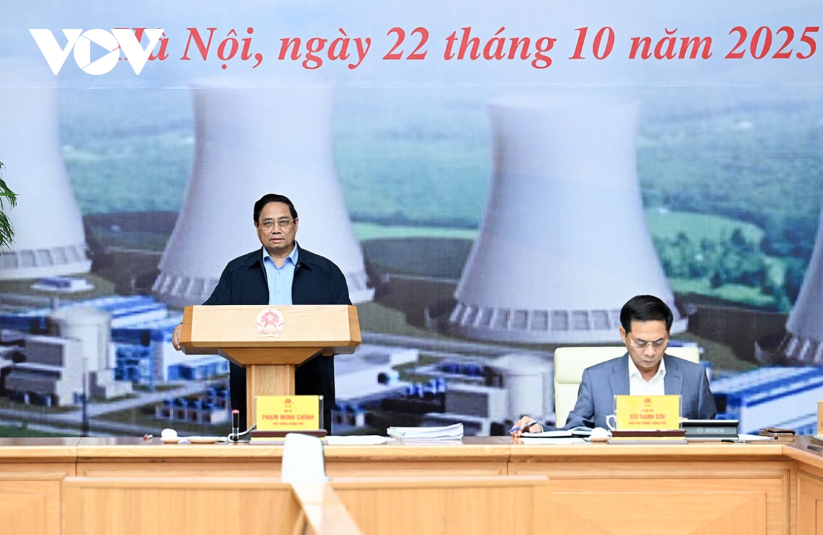 PM urges swift resolution of obstacles to nuclear power projects